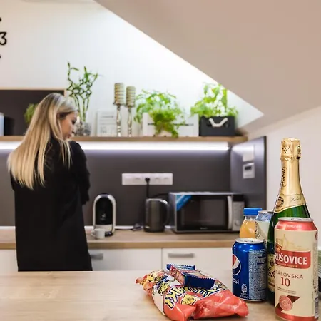 Flexihome Sk - Komenskeho - Private Parking Spot - Ultra Modern And Stylish * Košice